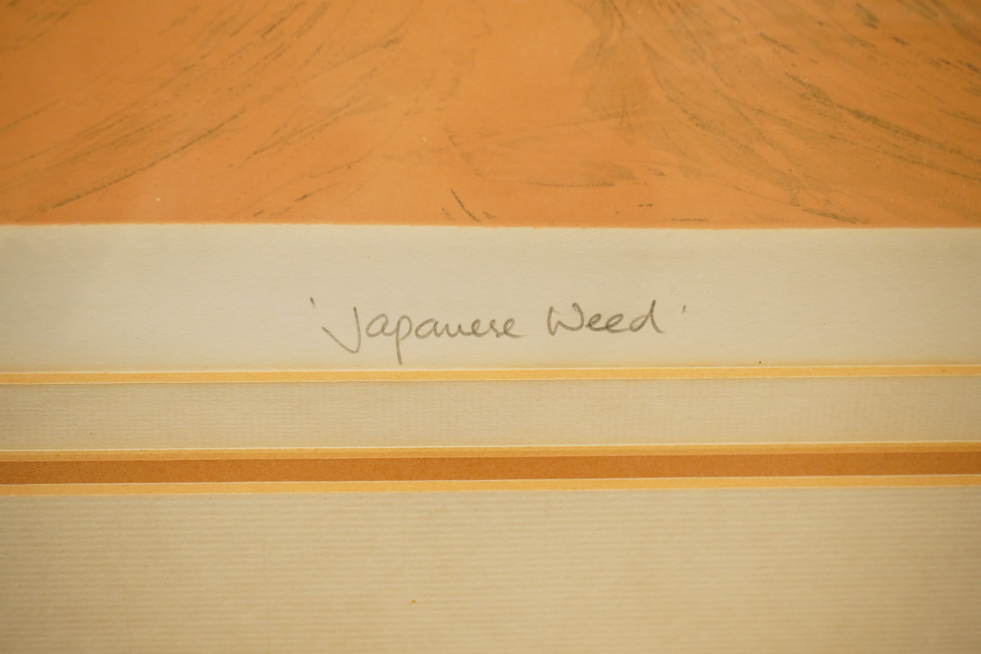 Leaveur, print, 'Japanese weed', signed in pencil, limited edition 8/700, 35 x 61cm. Condition - fair